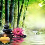 nature-zen-bambou-meditation-conscience